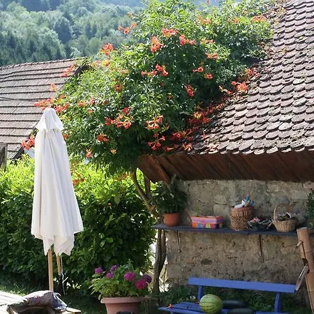 Campsite Camping Du Buisson Saint-Martin-d'Uriage